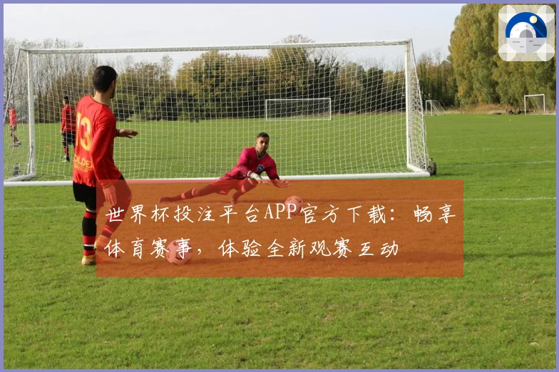 世界杯投注平台APP官方下载：畅享体育赛事，体验全新观赛互动