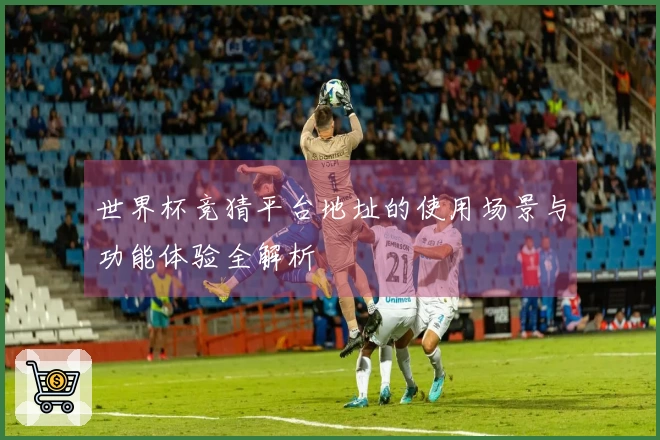 世界杯竞猜平台地址的使用场景与功能体验全解析