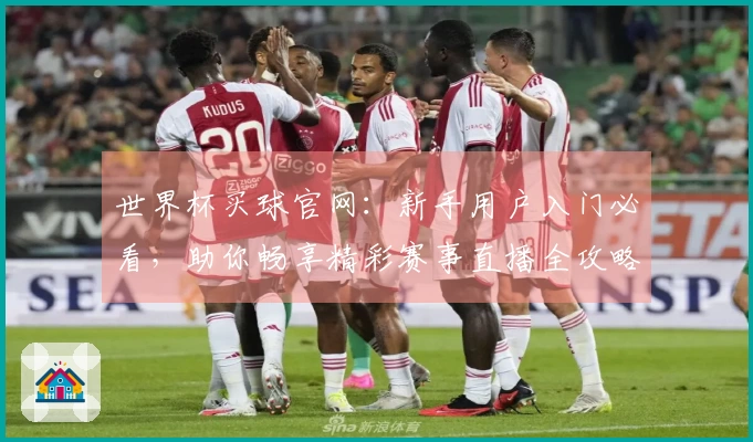 世界杯买球官网：新手用户入门必看，助你畅享精彩赛事直播全攻略