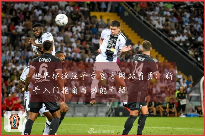 世界杯投注平台官方网站首页：新手入门指南与功能介绍