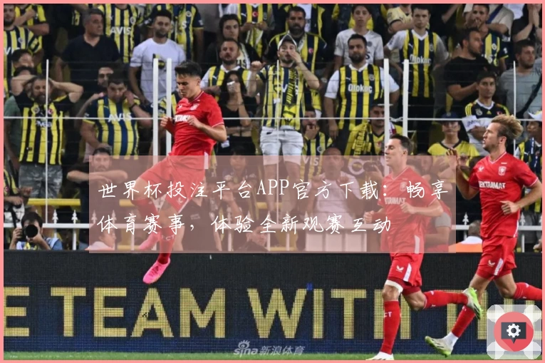 世界杯投注平台APP官方下载：畅享体育赛事，体验全新观赛互动