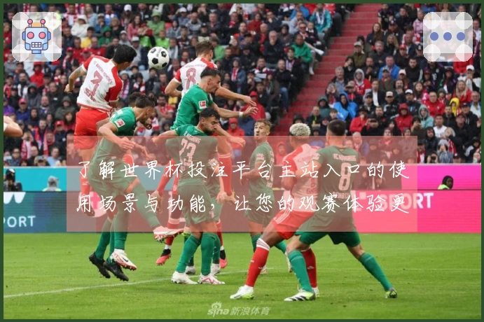 了解世界杯投注平台主站入口的使用场景与功能，让您的观赛体验更上一层楼