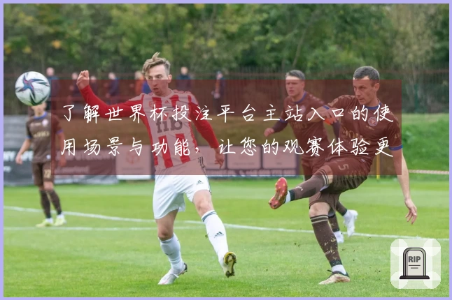 了解世界杯投注平台主站入口的使用场景与功能，让您的观赛体验更上一层楼