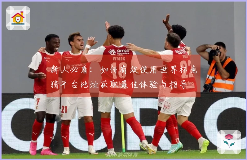 新人必看：如何有效使用世界杯竞猜平台地址获取最佳体验与指导