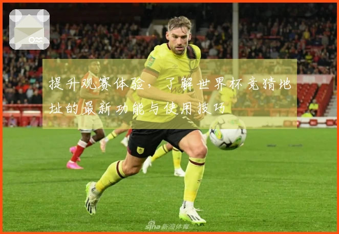提升观赛体验，了解世界杯竞猜地址的最新功能与使用技巧
