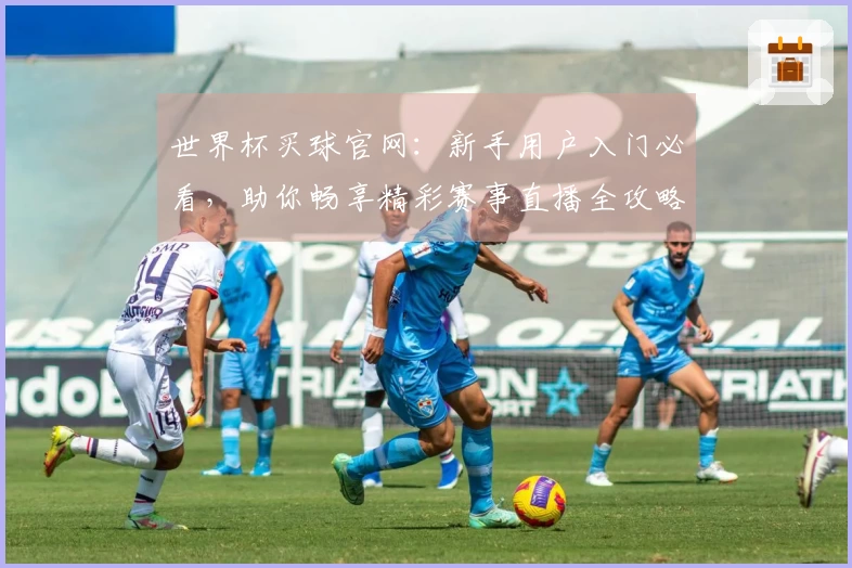 世界杯买球官网：新手用户入门必看，助你畅享精彩赛事直播全攻略