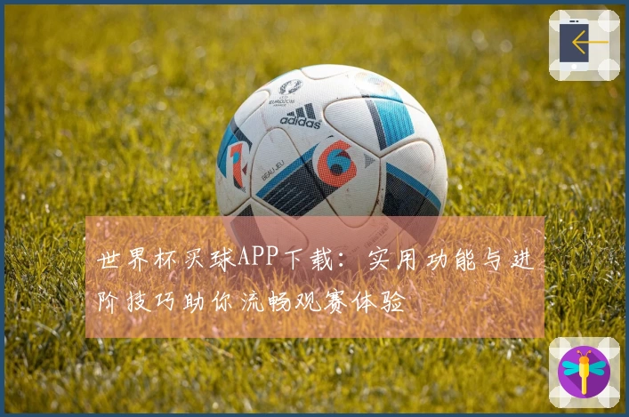 世界杯买球APP下载：实用功能与进阶技巧助你流畅观赛体验